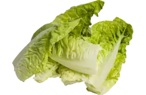 Little gem schoon 1-4 zak 1kg